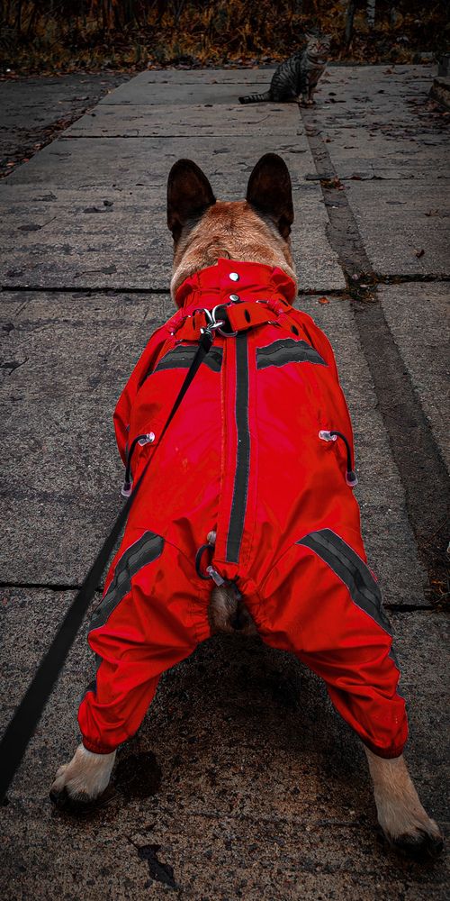 Photograph by Дайана