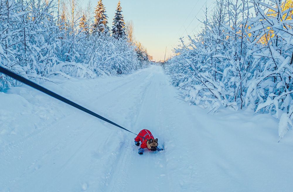 Photograph by Дайана