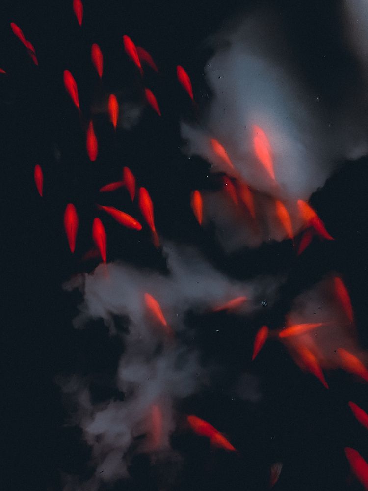 Photograph by Христина Сергейчик