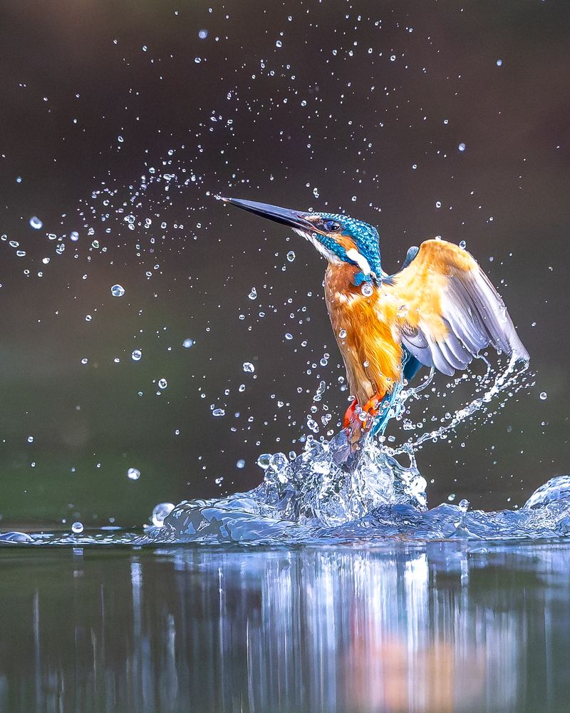 Photograph by Sanjay Risbood