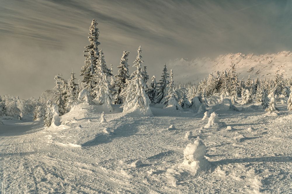 Фотография автора Кирилл Аксенов