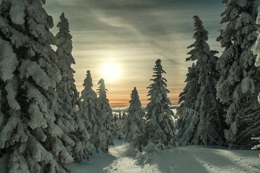 Фотография автора Кирилл Аксенов