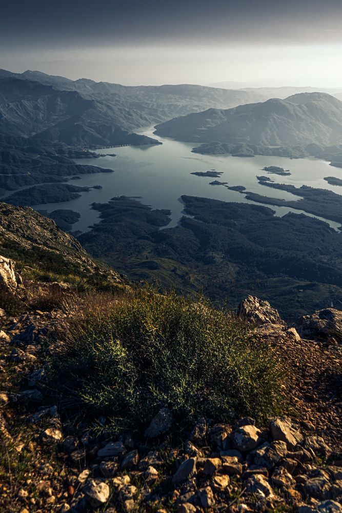 Where Peaks Meet the Mirror