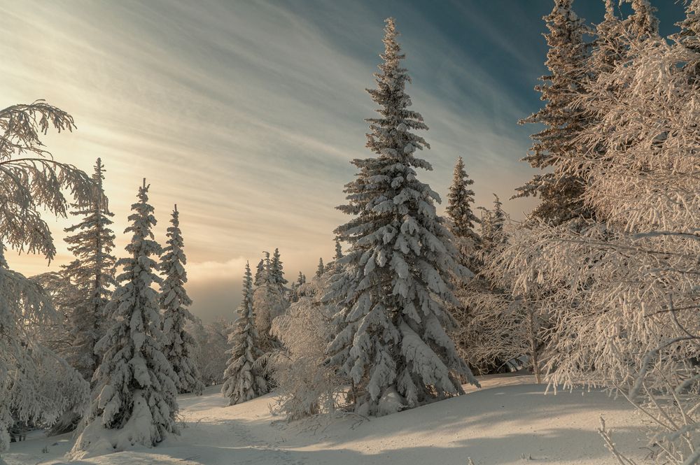 Фотография автора Кирилл Аксенов