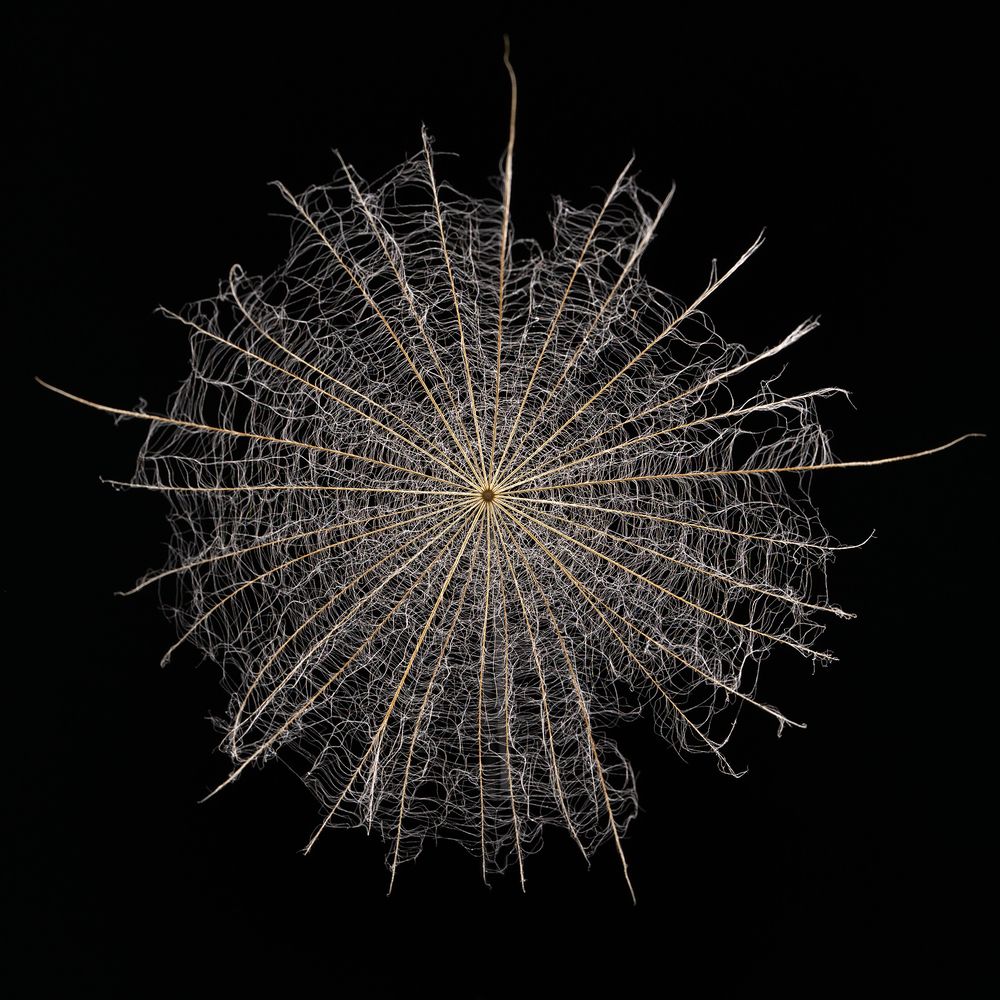 Фотография автора Роман Москвичев