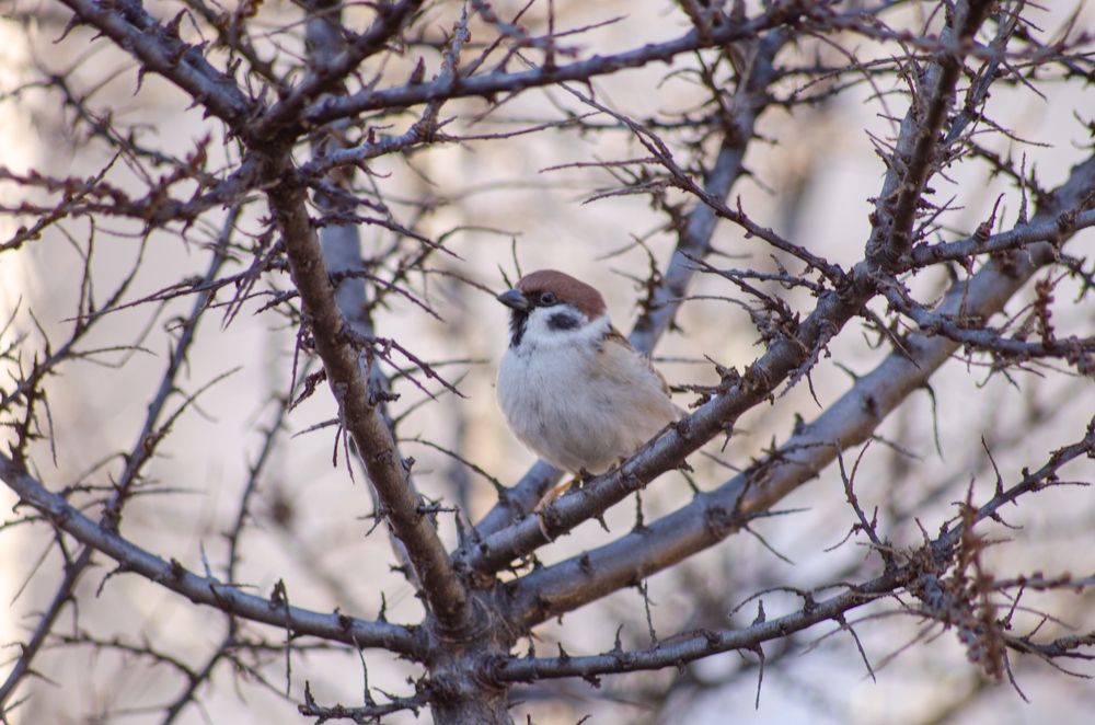 Photograph by Татьяна Жиркина