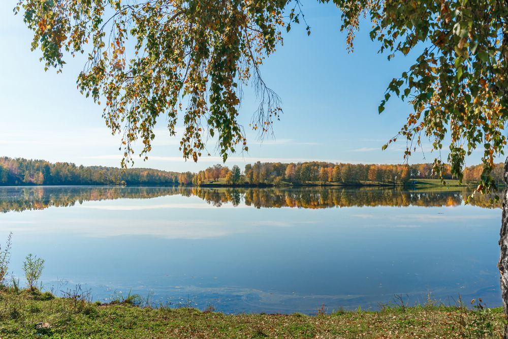 Фотография автора Юлия Евстратенко