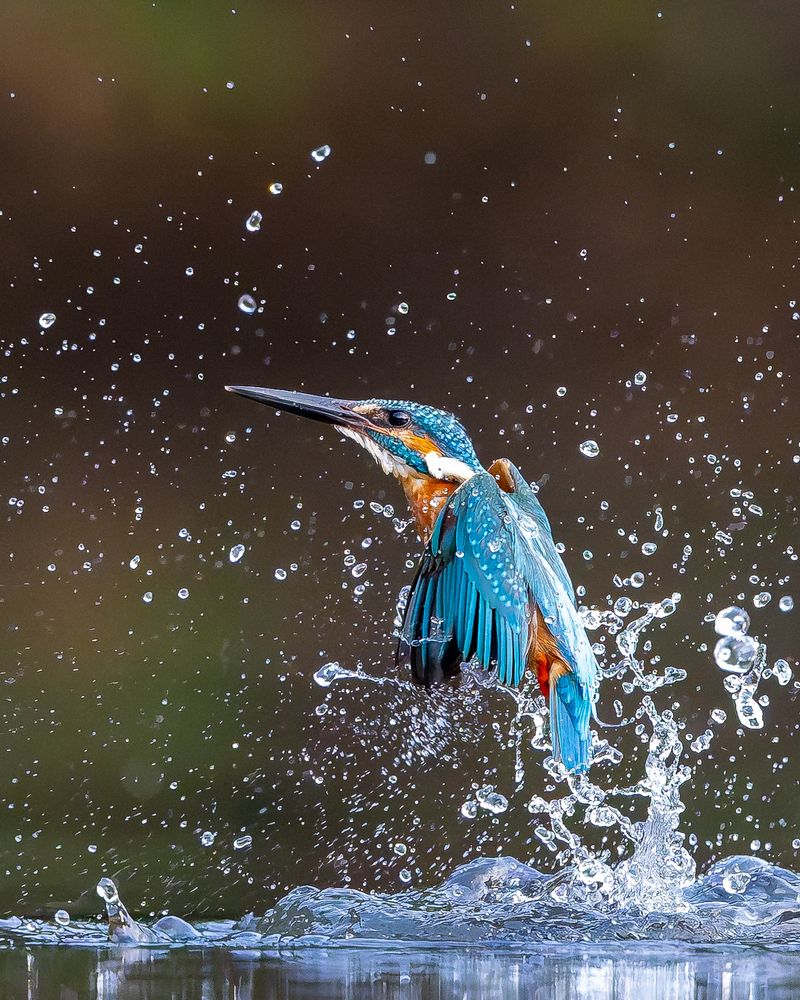 Photograph by Sanjay Risbood