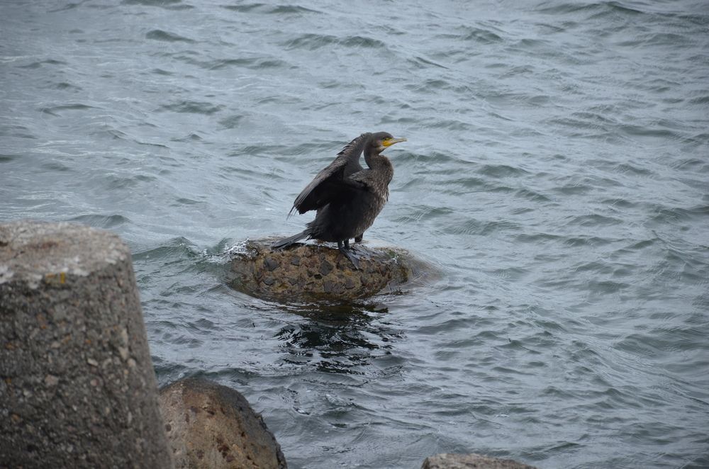 Photograph by Надежда Каравайцева