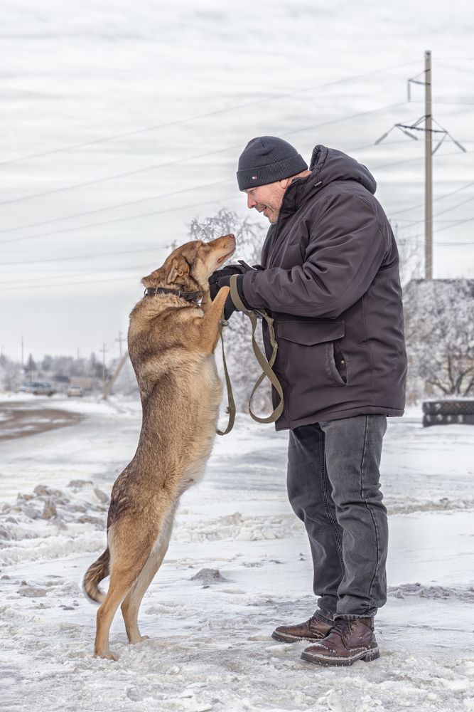 Photograph by Олег Белан