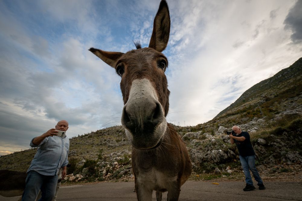 Photograph by Slutskiy Nikolay