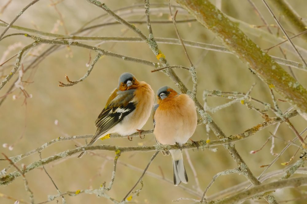 Photograph by Надежда Кангина
