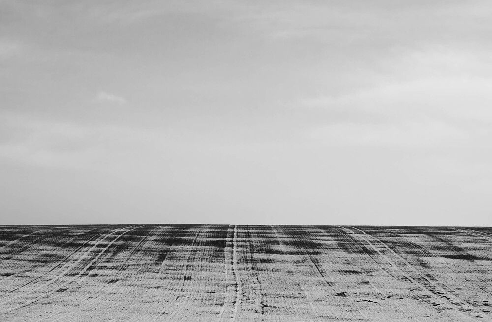 Photo #13142816