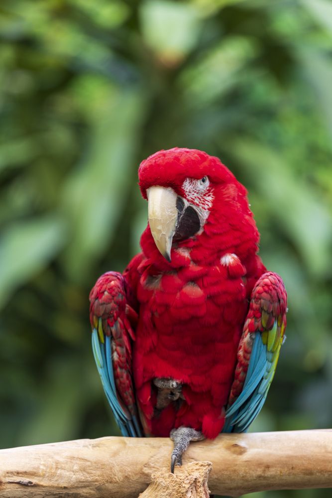 Фотография автора Евгений Цапенко