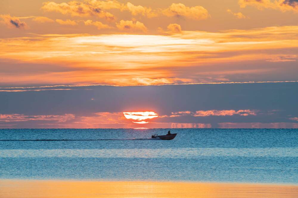 Ранний заплыв