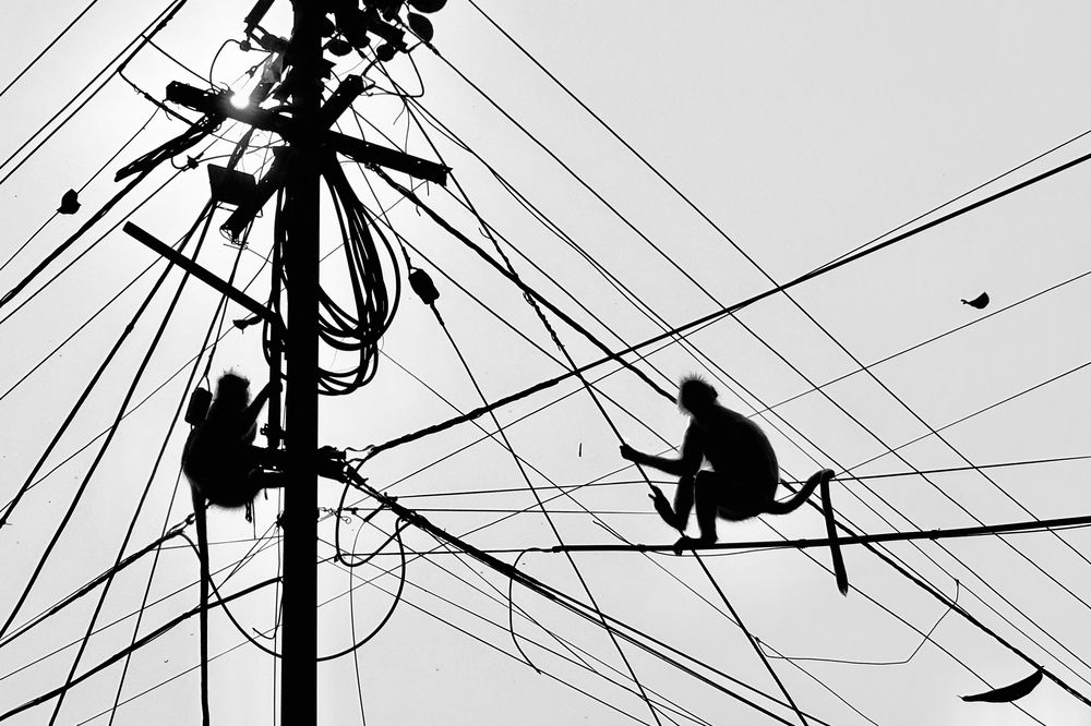 Photograph by BIPLAB MISRA