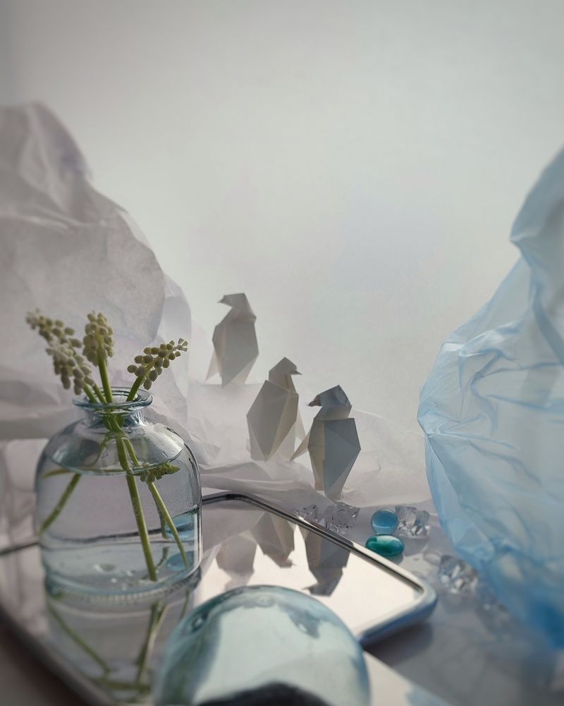 Мечты о море. Пингвины