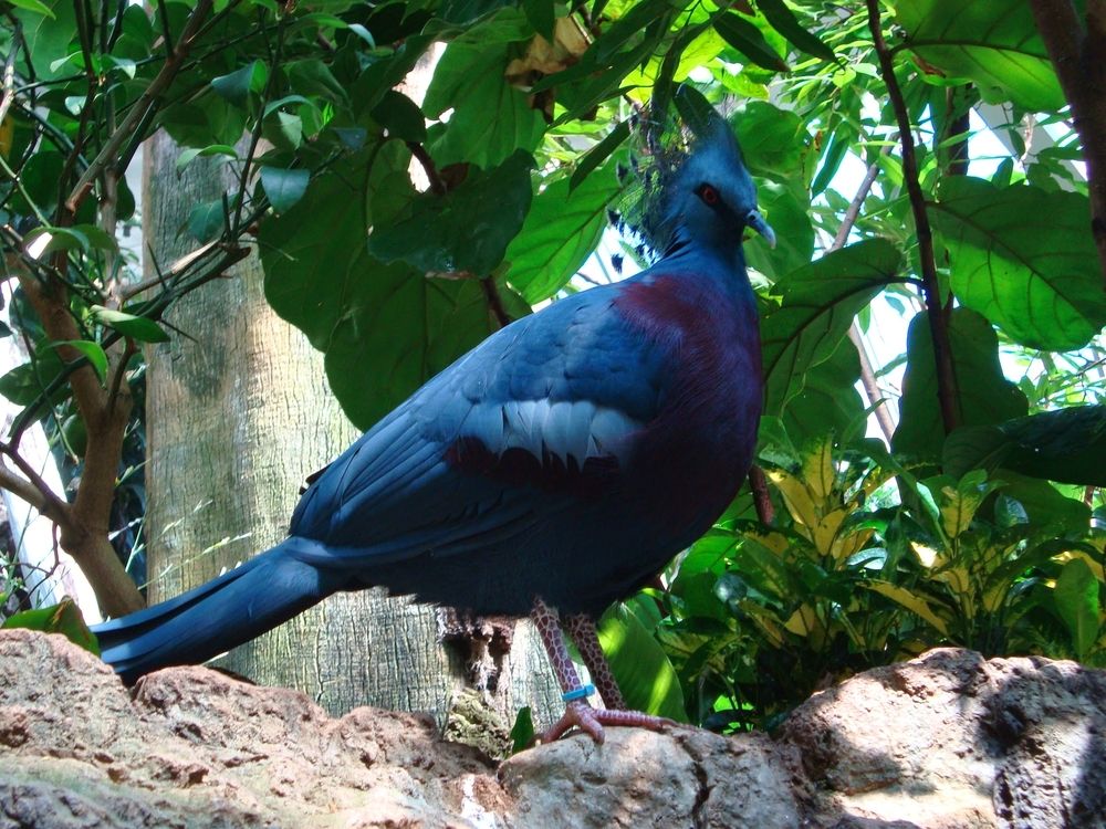 Photograph by Rosane Cortez