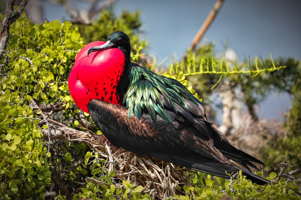 Photograph by Vita Potomova