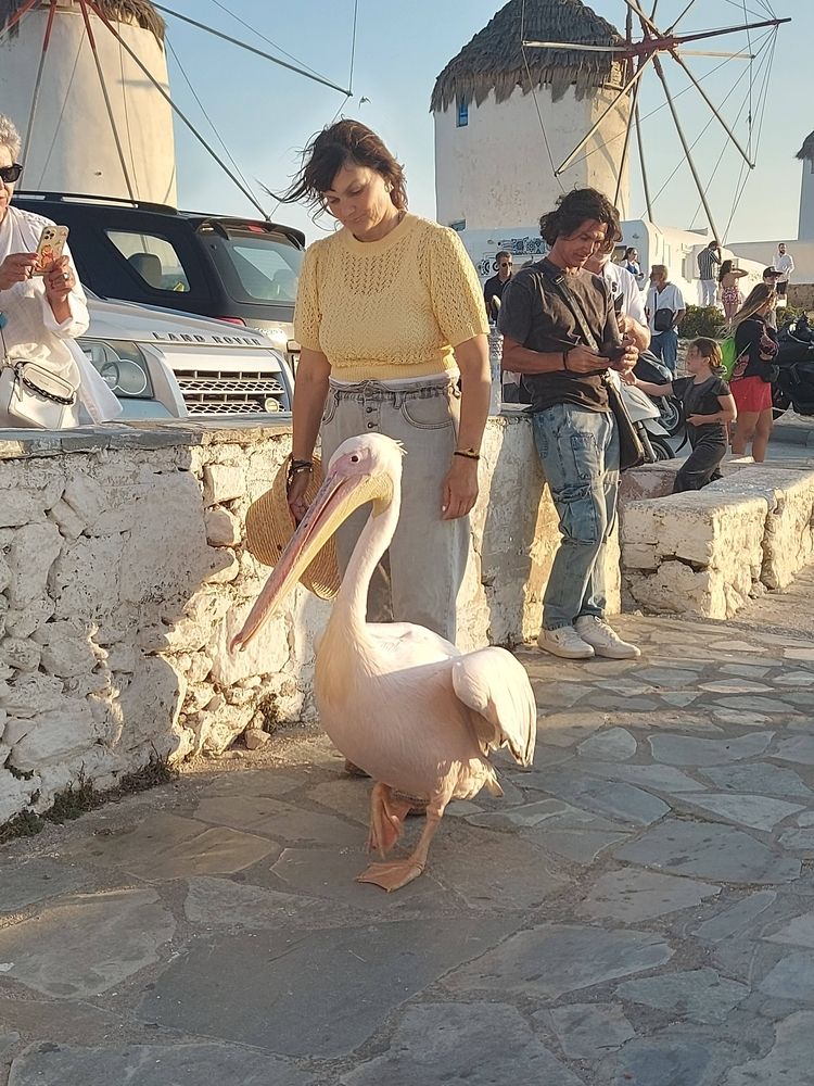 Photograph by Rosane Cortez