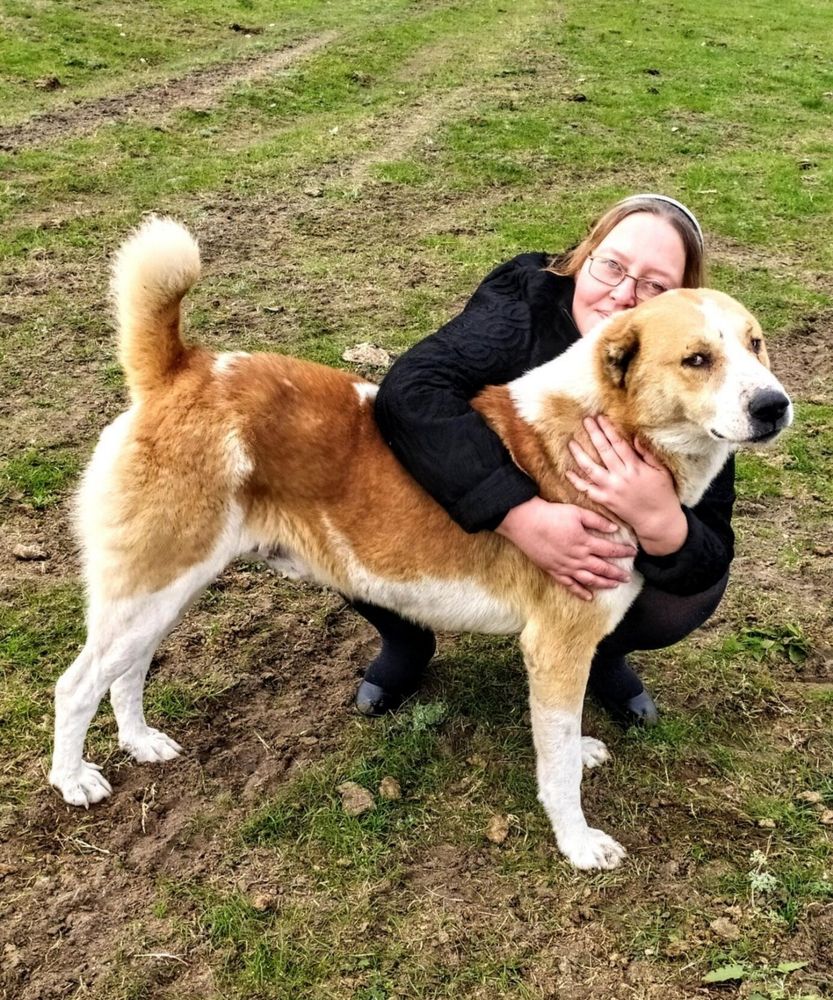 Photograph by Ирина Рягузова