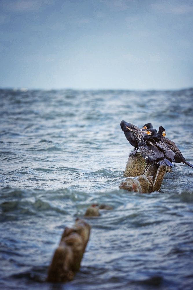 Photograph by Кирилл Фролов