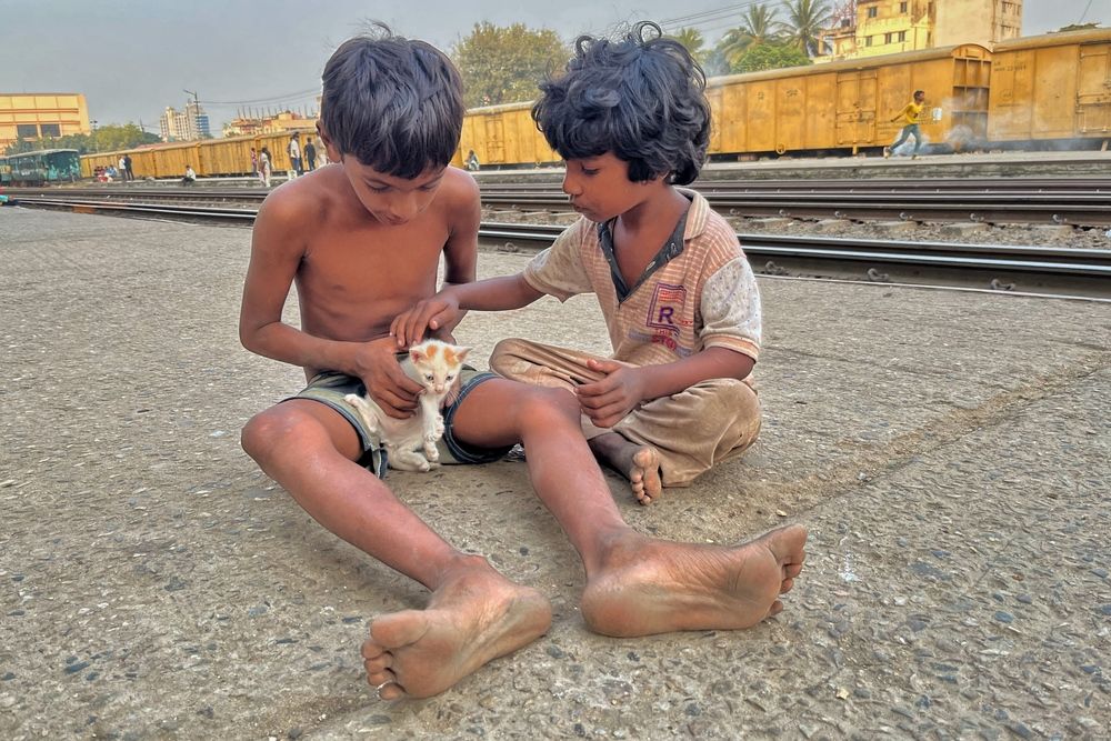 Photograph by Washiful Majid