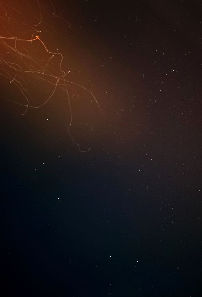 Фотография автора Виктория Трущенко