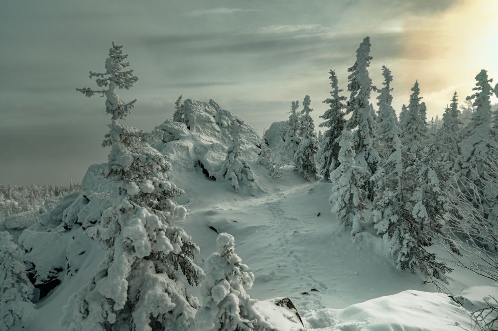 Фотография автора Кирилл Аксенов