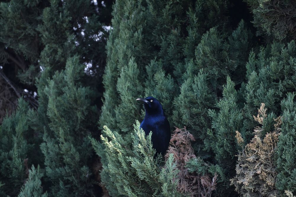 Photograph by Jeremy Olmos Garcia