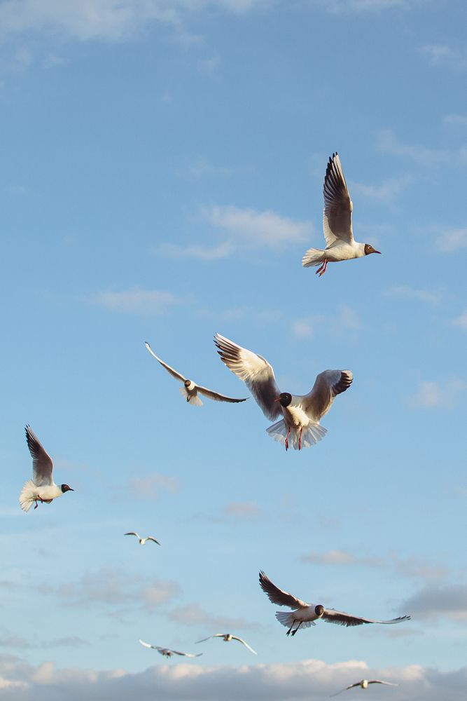 Фотография автора Екатерина Кузнецова