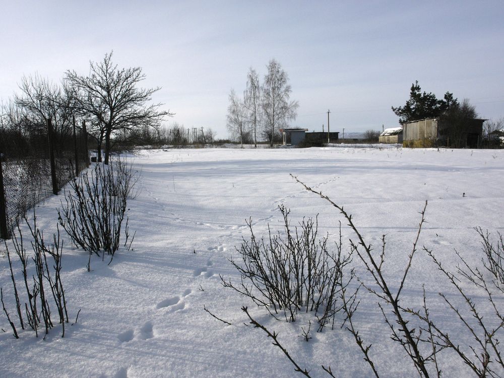 Photograph by Игорь Шевердин