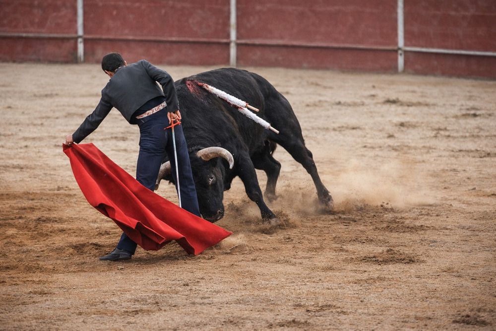 Photograph by Juan jose Sánchez gonzalez