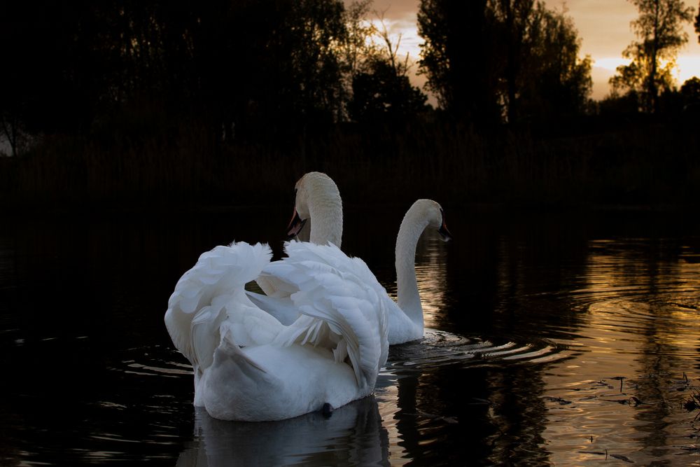 Фотография автора Екатерина Кузнецова