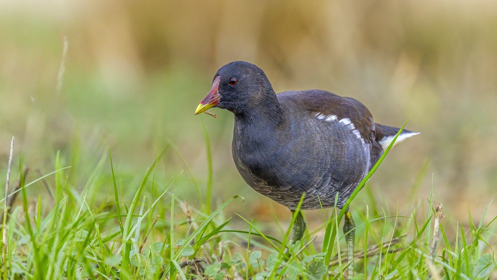 Photograph by АЛЕКСАНДР ПОПИК