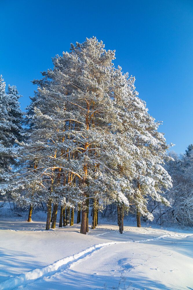 Фотография автора Александр Есликов