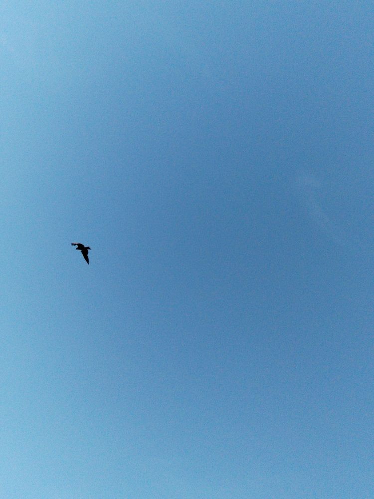Photograph by Ирина Филиппова