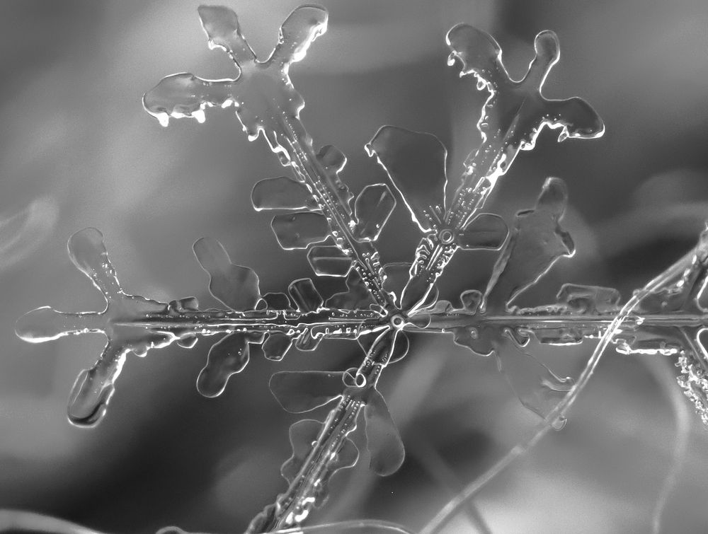 Photograph by Екатерина Ненахова