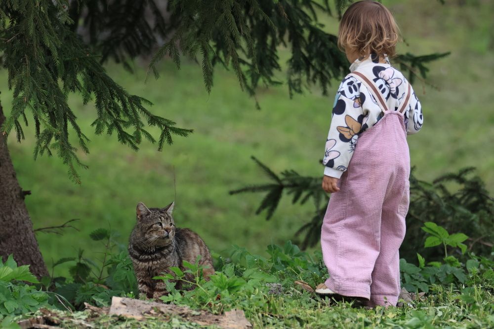 Photograph by Анна Чадова