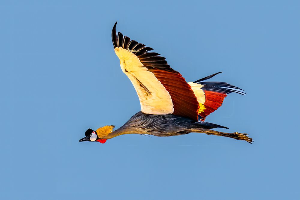 Photograph by Bulat Bayzuldin