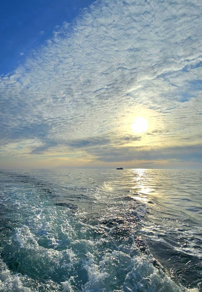 Сочи, Чёрное море