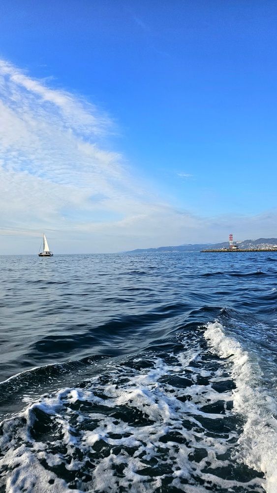 Сочи, Чёрное море