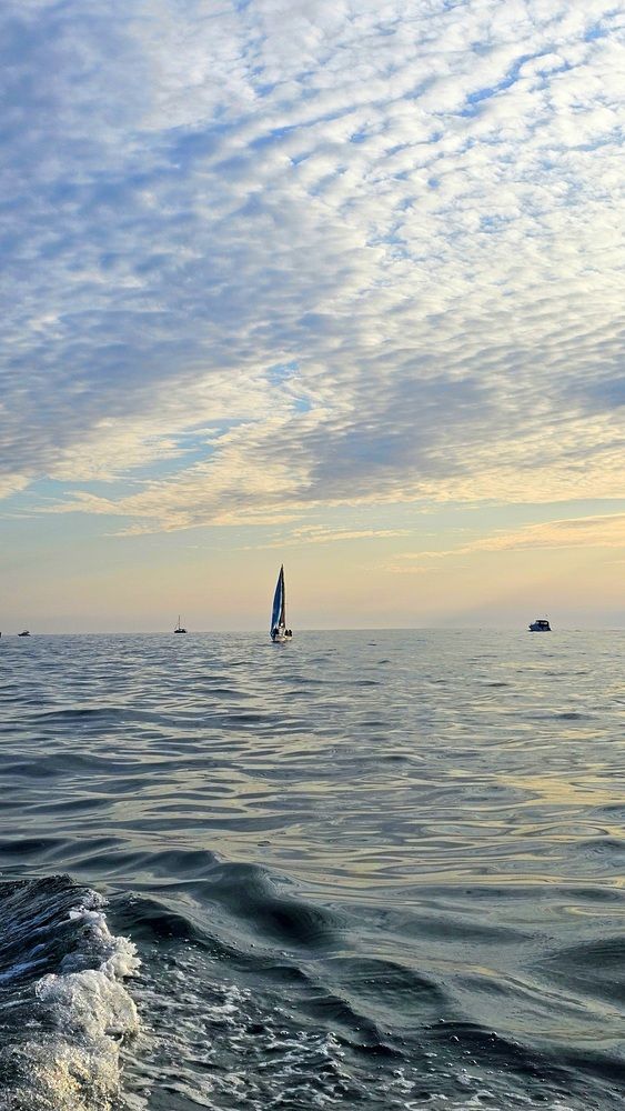 Сочи, Чёрное море