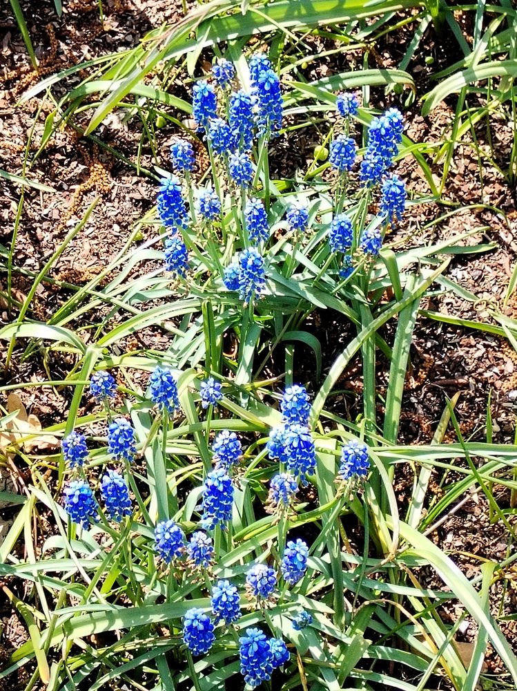 Photograph by Ирина Филиппова