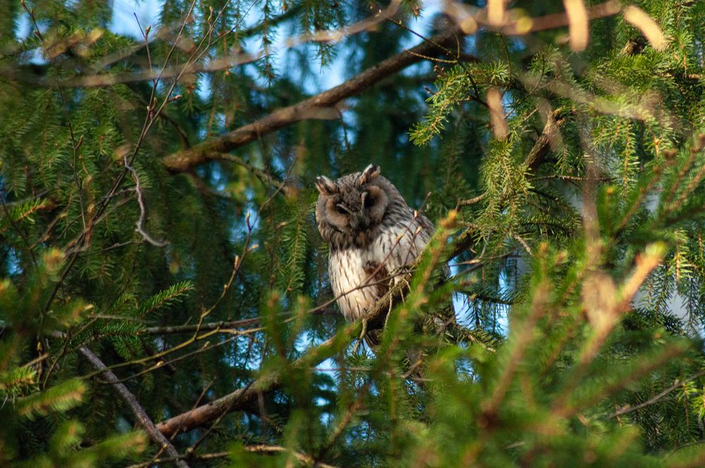 Фотография автора Наталья Липовская