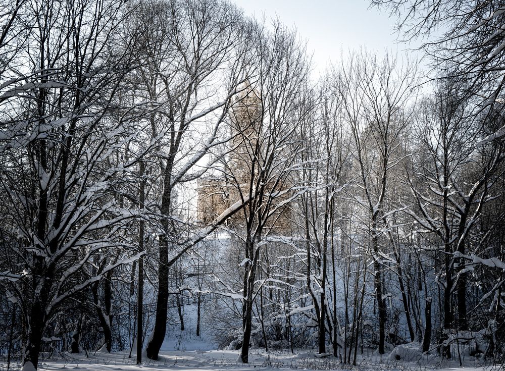 Photograph by Егор Белов