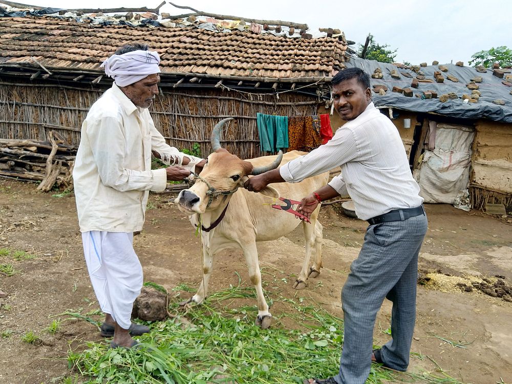 Photograph by sumit sitole