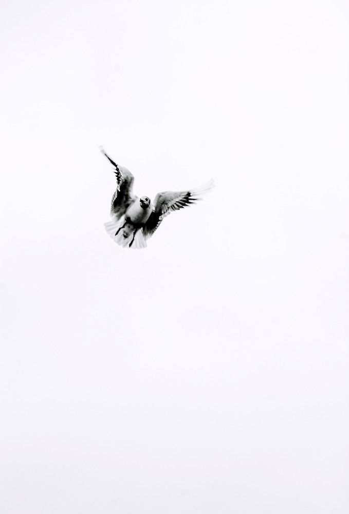Photograph by Мария Шумакова
