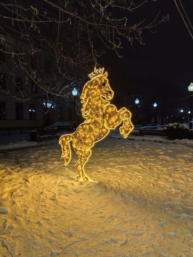 Фотография автора Татьяна Мишкина