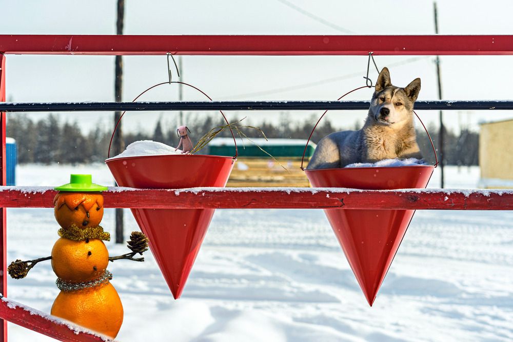 Photograph by Галина Искандарова